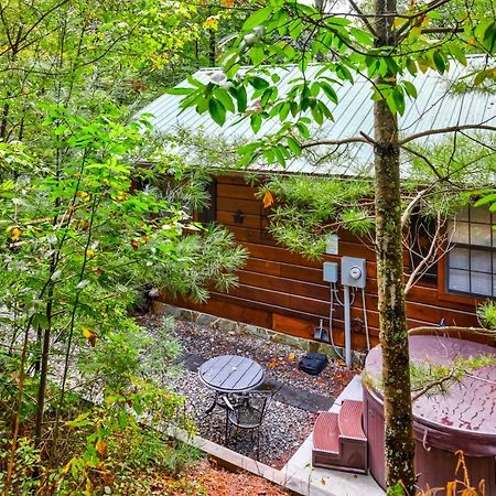 ブルーリッジ山脈 Etowahヴィラ エクステリア 写真
