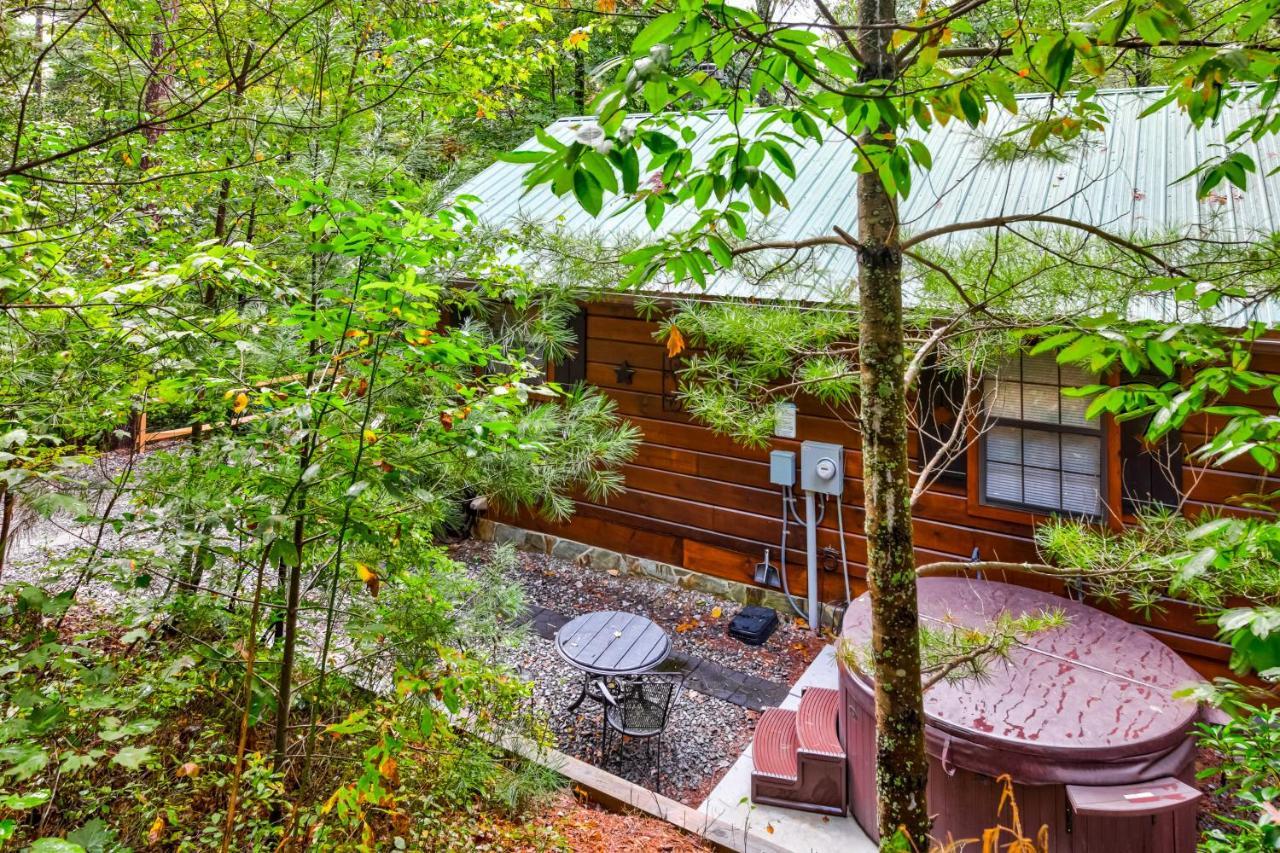 ブルーリッジ山脈 Etowahヴィラ エクステリア 写真